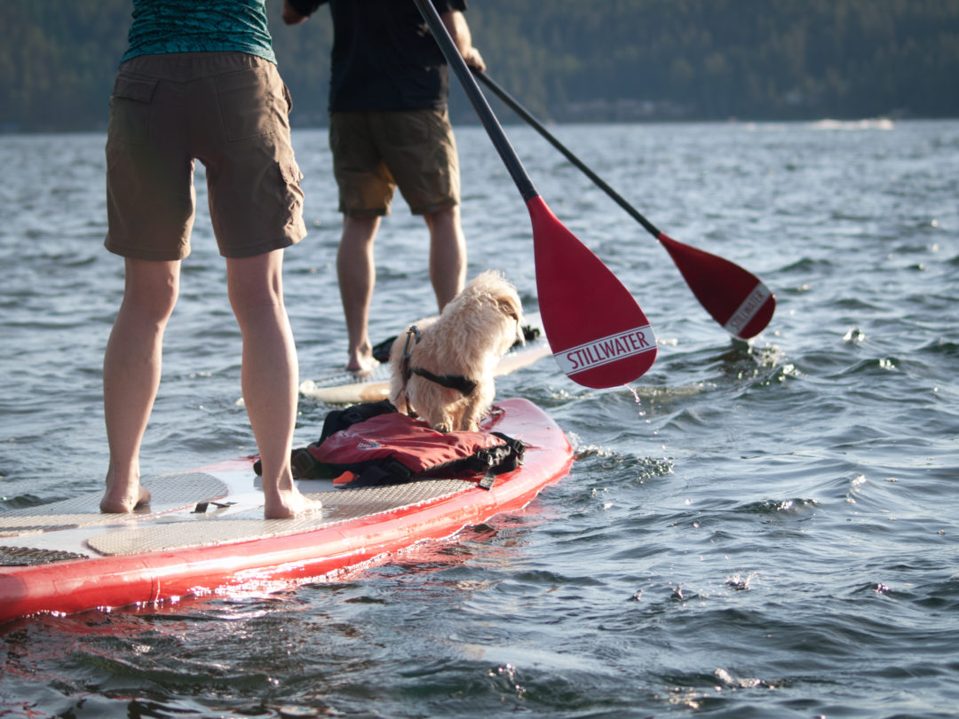 Spokane Great Outdoor and Bike Expo | Explore the Outdoors Indoors